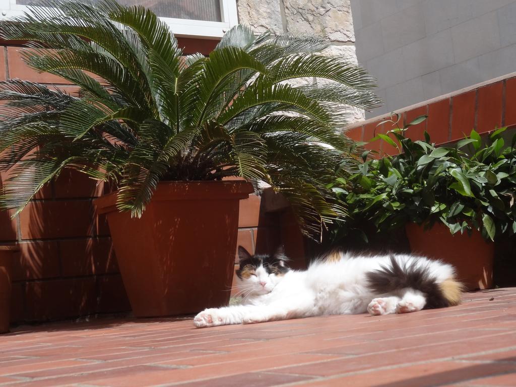 Heart Of The City Apartments Dubrovnik Bagian luar foto